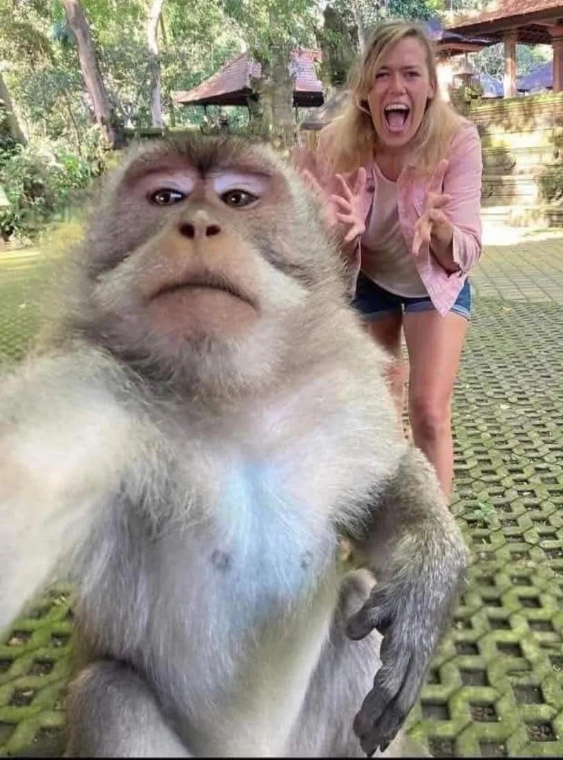 A cheeky monkey in the Ubud Monkey Forest